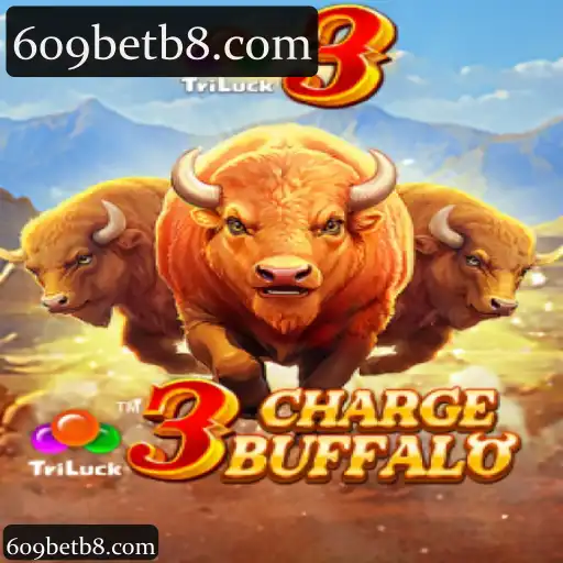 3ChargeBuffalo